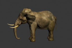大象3D模型下载