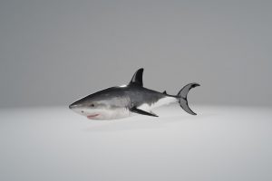 鲨鱼网页3D动画